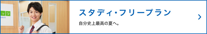 スタディ・フリープラン　自分史上最高の夏へ。