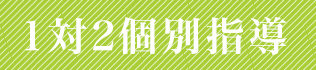 1対2個別指導
