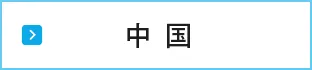中国