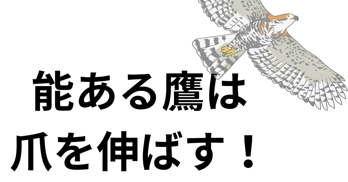 能ある鷹は爪を伸ばす！.png
