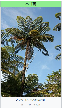 スクリーンショット 2026-02-18 162356.png