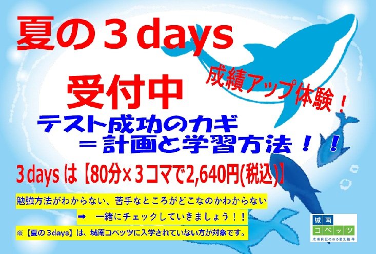 2025夏3days.jpg