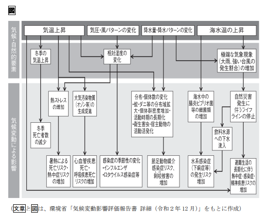 大学入試試作問題　国語.png