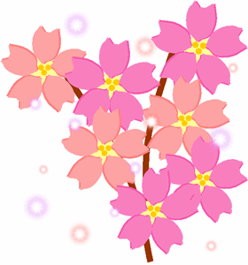 2013 桜.gif