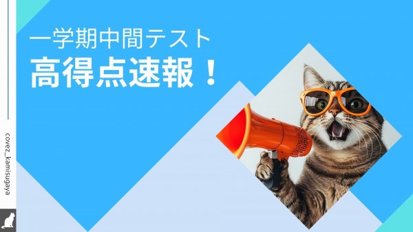 テスト結果 HD.jpg