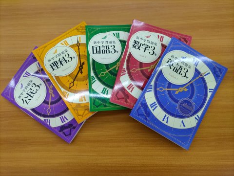 新中学問題集
