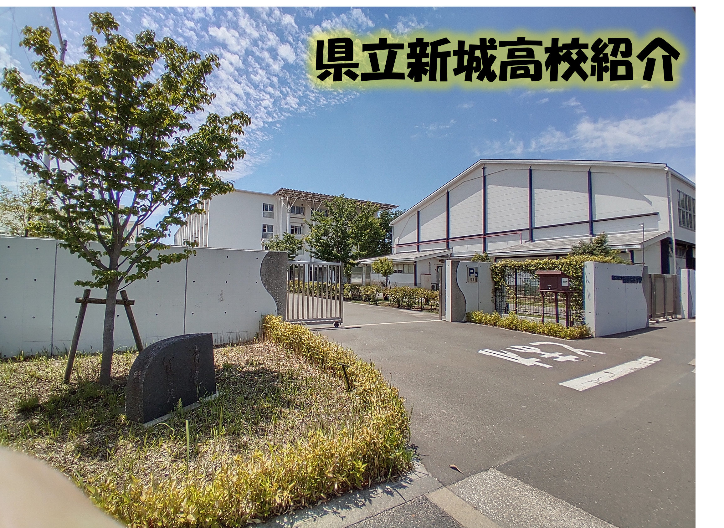 神奈川 県立 新城 高等 学校