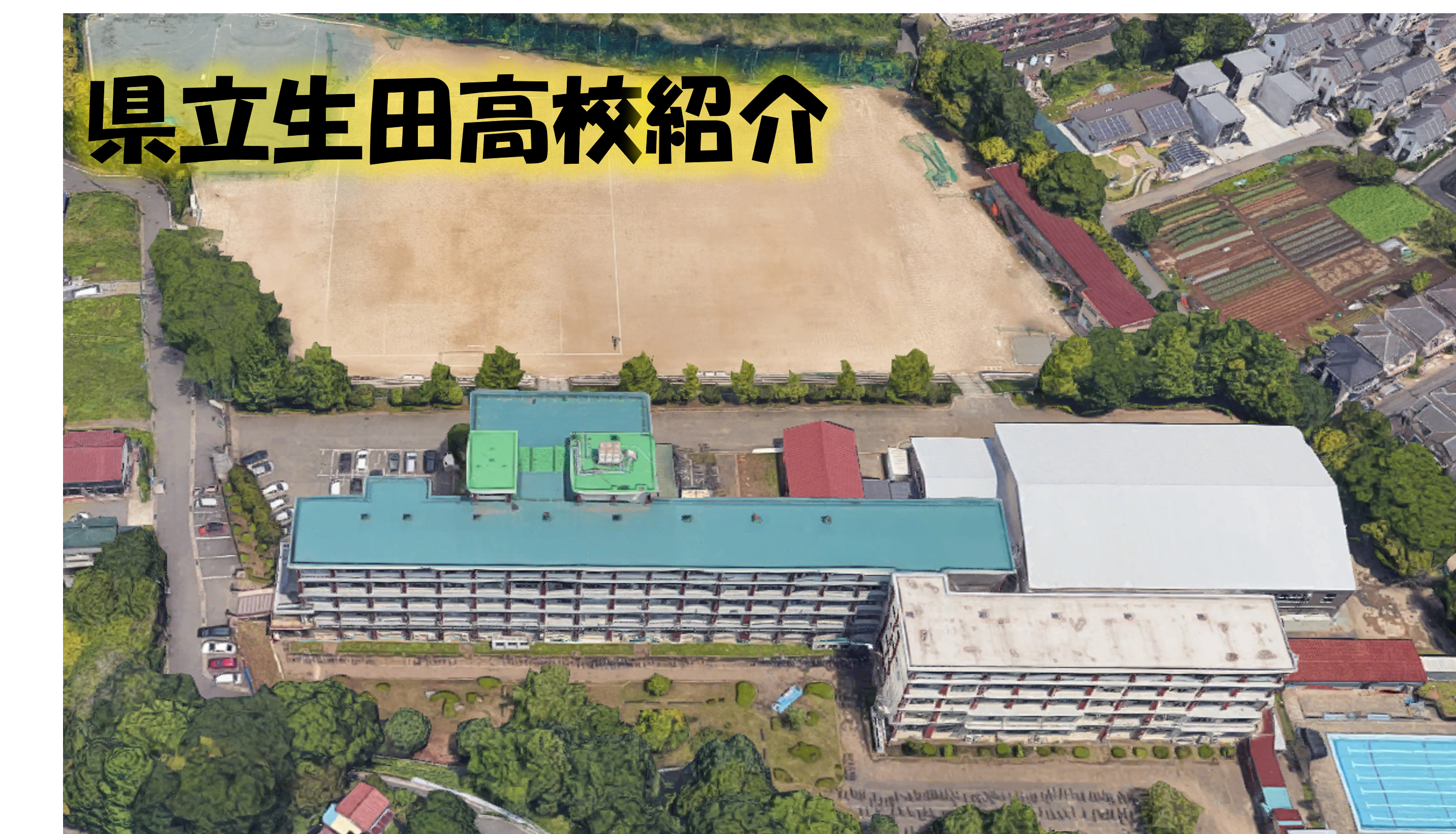 活動歴および当時の関連ビジュアル記録
