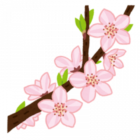 桜.png