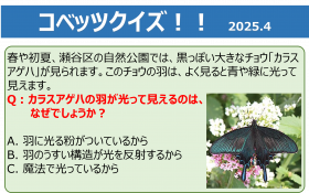 図1AGEHA.png