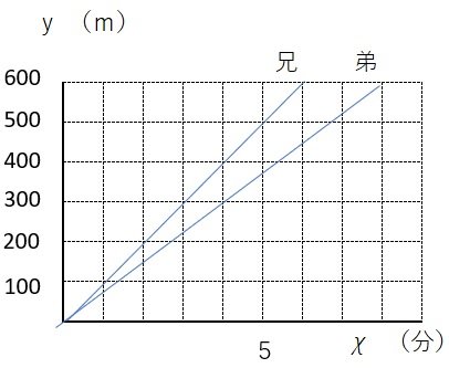 比例のグラフ.jpg