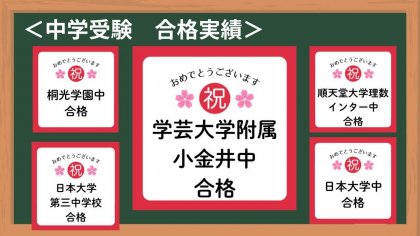 矢野口　稲城　塾　個別指導　受験　中学受験　高校受験　大学受験 一覧.jpg