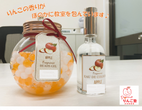 りんごのディフューザー.png