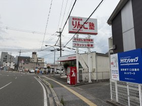 IMG_2931.jpg