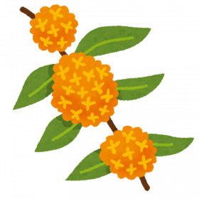 flower_kinmokusei.png
