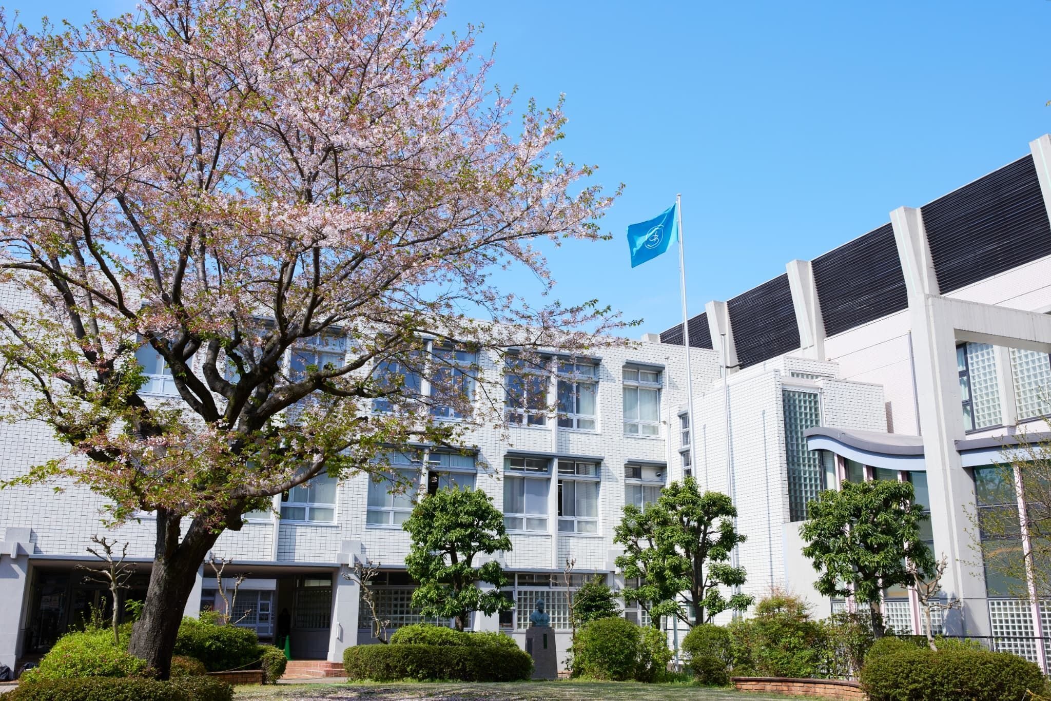 kunimoto3.jpg