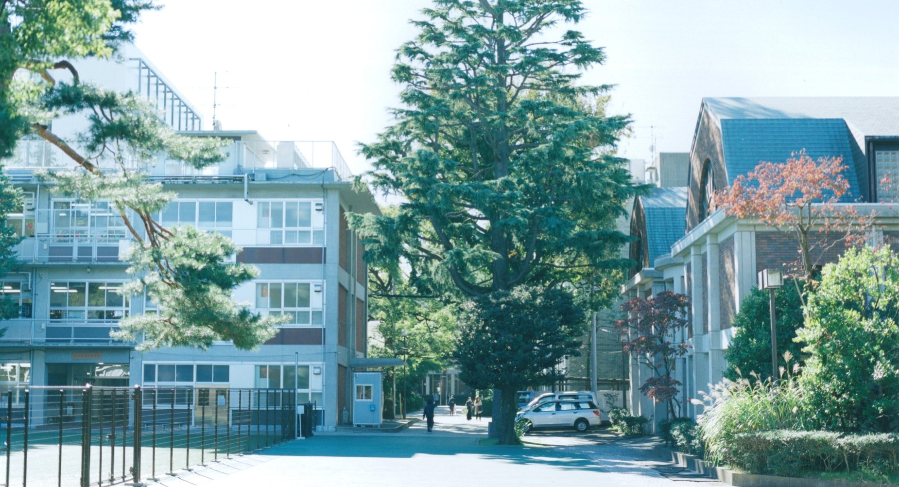 seijo1.jpg