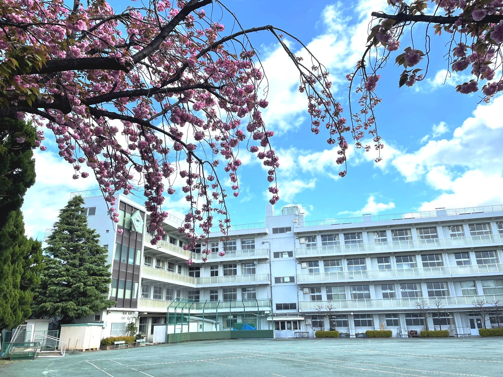 seitoku2.jpg
