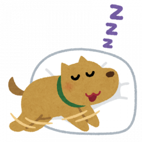 dog_sleep_run.png