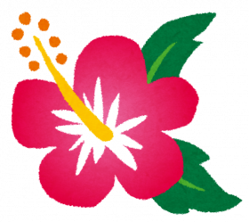 flower_hibiscus.png