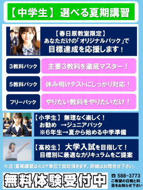 選べる夏期講習.png