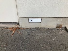 image2.jpeg
