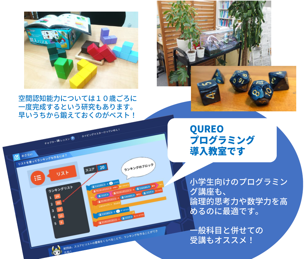 城南コベッツの個別指導について | 高横須賀教室からのメッセージ